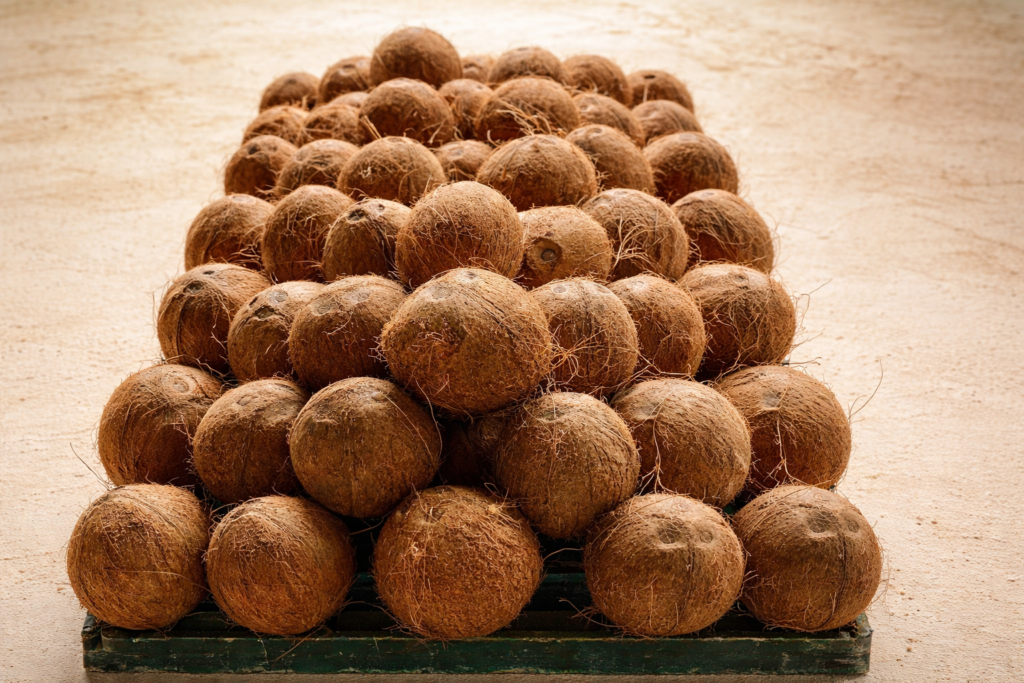 artisans noix de coco - My Coco Candle