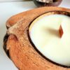 Bougie Noix de Coco Originale