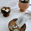 Accessoire Déco Naturel : Vide Poche en Noix de Coco Polie