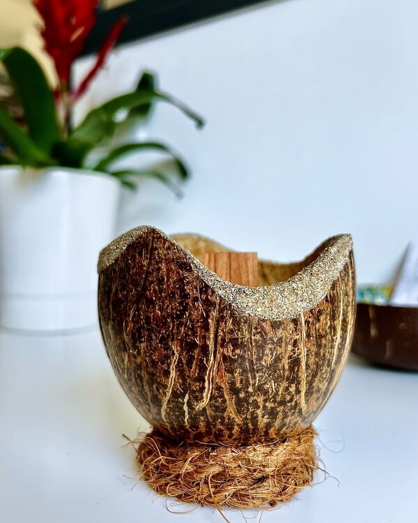 Bougie Eco-Friendly dans Noix de Coco - My Coco Candle