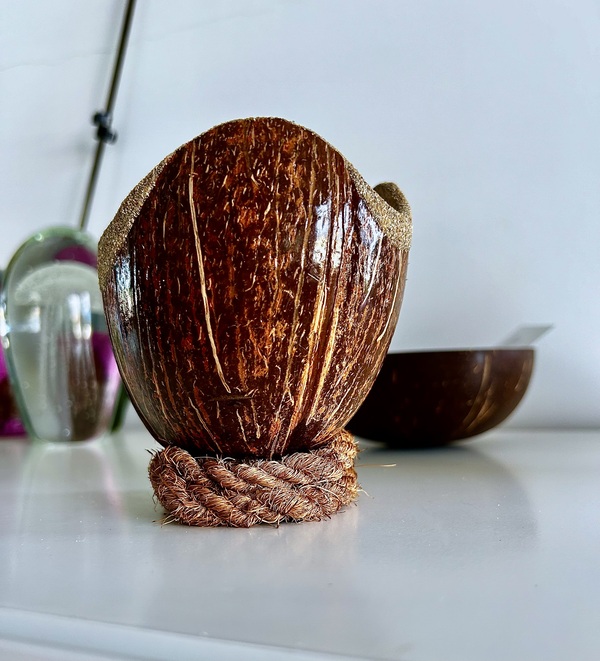 Bougie Eco-Friendly dans Noix de Coco