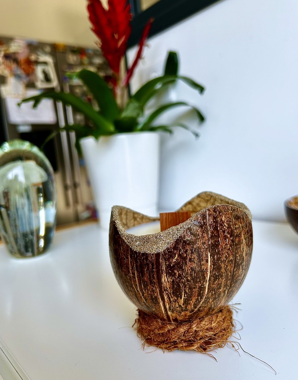 Bougie Eco-Friendly dans Noix de Coco - My Coco Candle