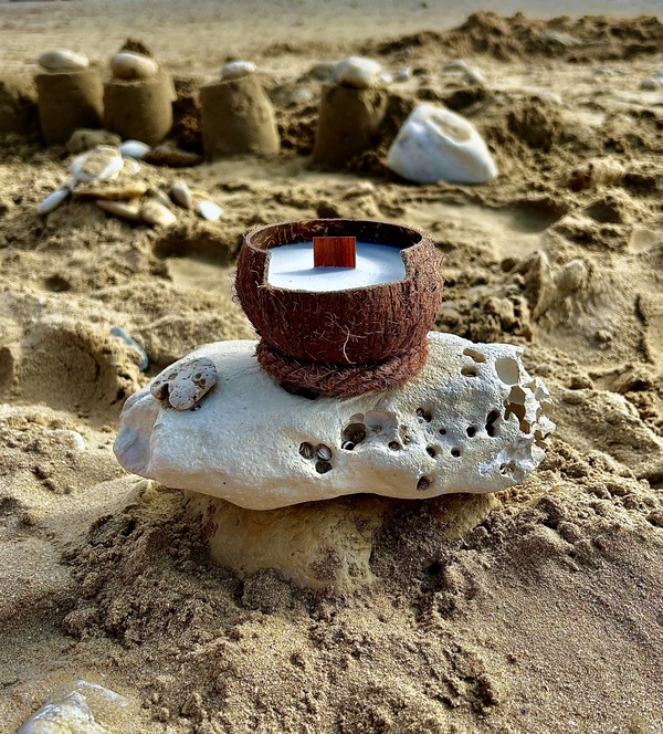 bougie Noix de Coco avec mèche en bois