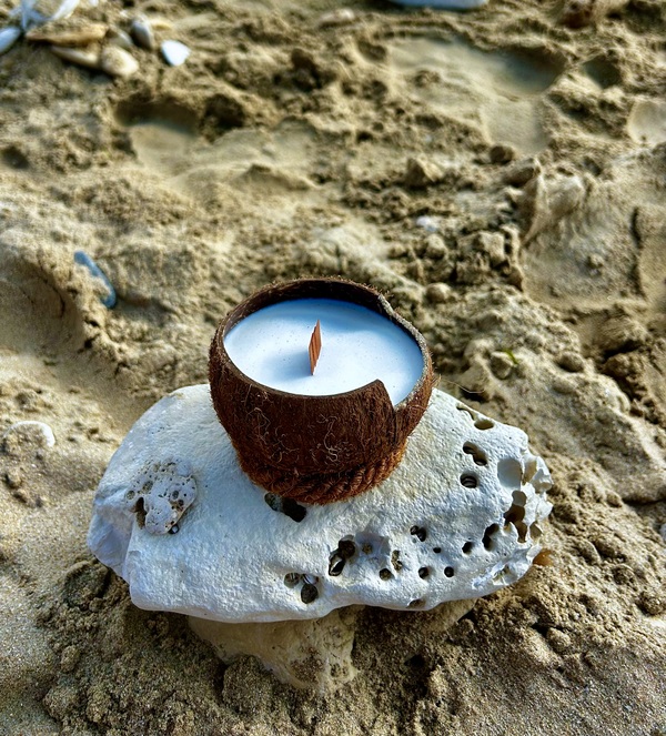 bougie Noix de Coco avec mèche en bois