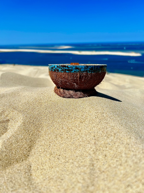 bougie cire végétale dans Noix de Coco naturelle