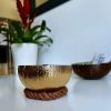 Bougie Chic Dans une Noix de Coco - My Coco Candle