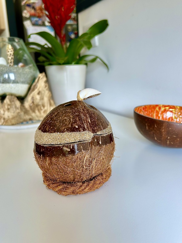 Bougie Naturelle dans Coque de Noix de Coco