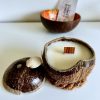 Bougie Naturelle dans Coque de Noix de Coco