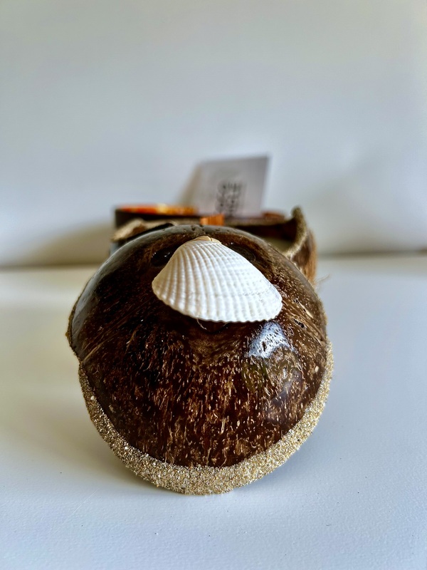 Bougie Naturelle dans Coque de Noix de Coco