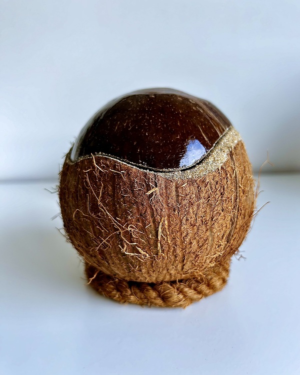 bougie à la cire végétale dans une noix de coco