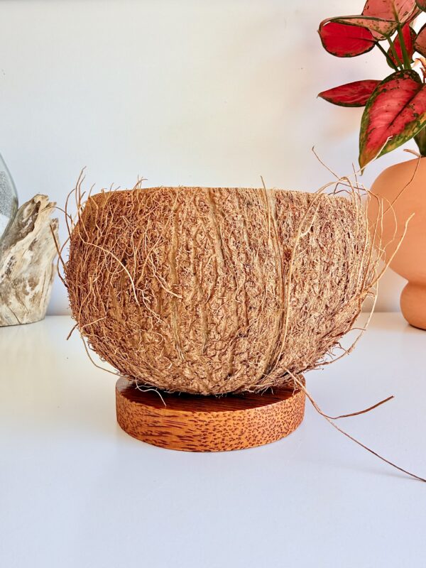 Bougie artisanale dans une véritable noix de coco brute sur socle en bois de cocotier