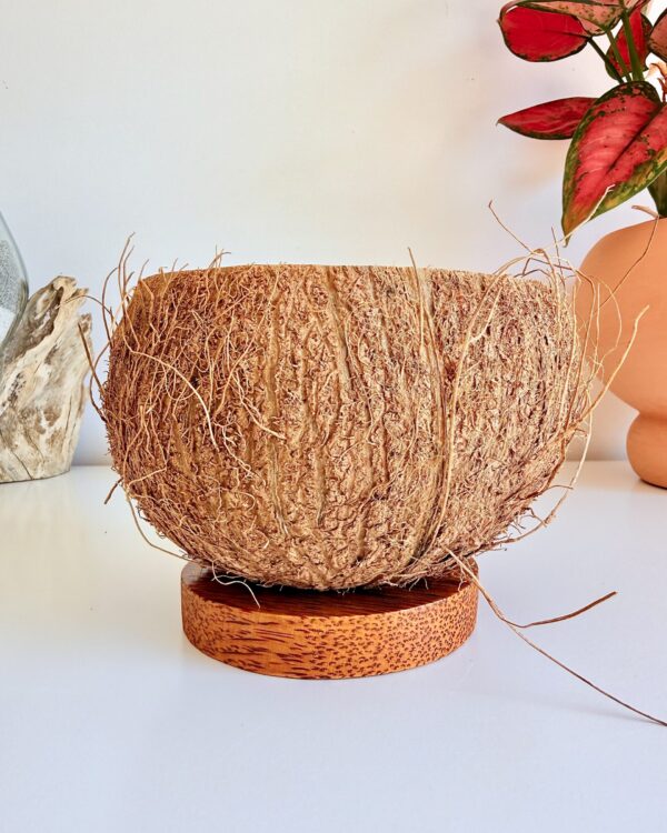 Bougie artisanale dans une véritable noix de coco brute sur socle en bois de cocotier