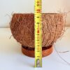Bougie noix de coco hauteur 10 cm avec mètre ruban