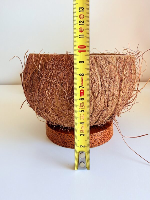 Bougie noix de coco hauteur 10 cm avec mètre ruban