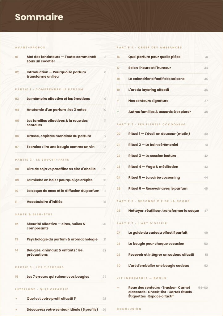 Sommaire du guide