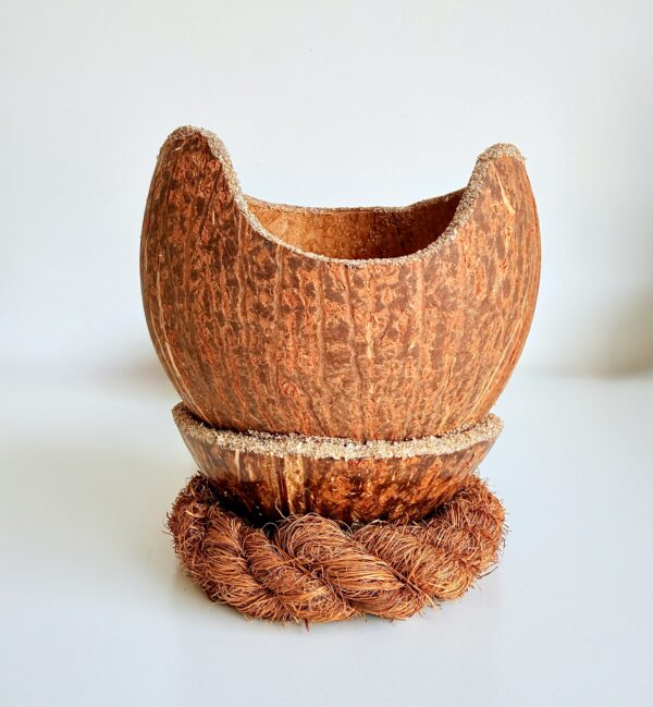 bougie coco lune - My Coco Candle