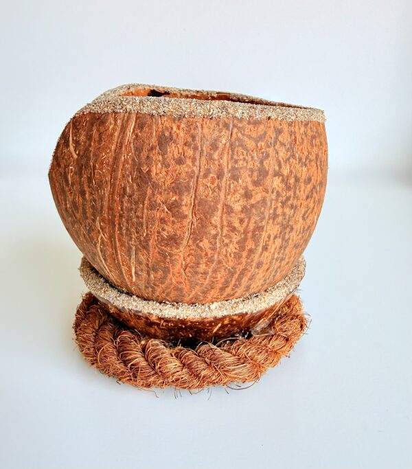 bougie coco lune - My Coco Candle