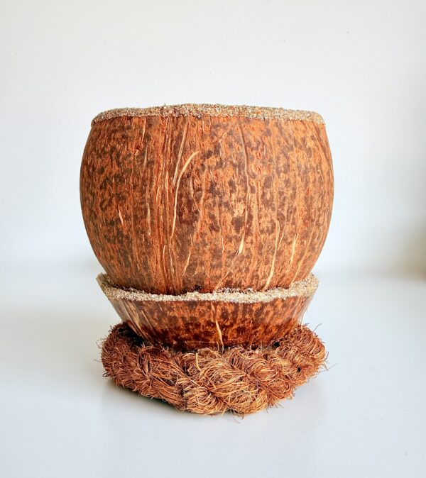 bougie coco lune - My Coco Candle