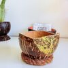 bougie noix de coco polie dorée - My Coco Candle